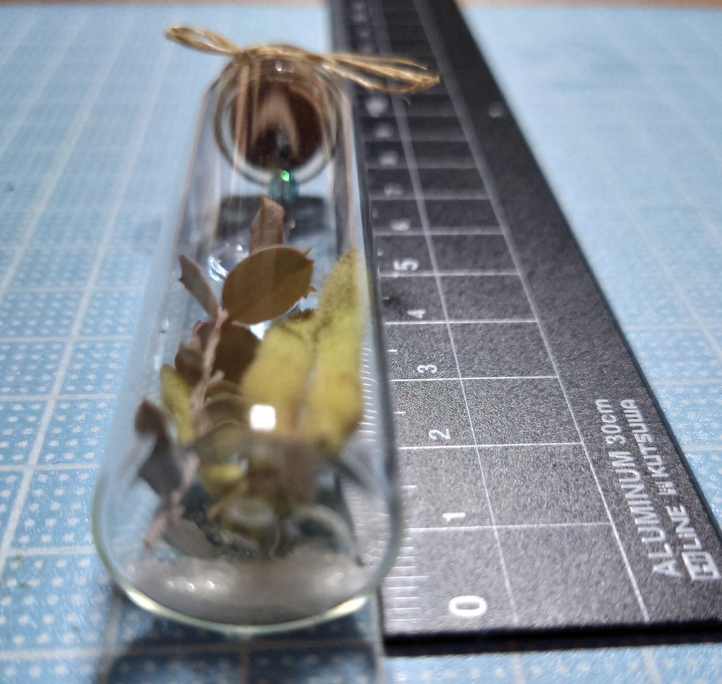 花と鉱石の標本/DB2_010(アウトレット)