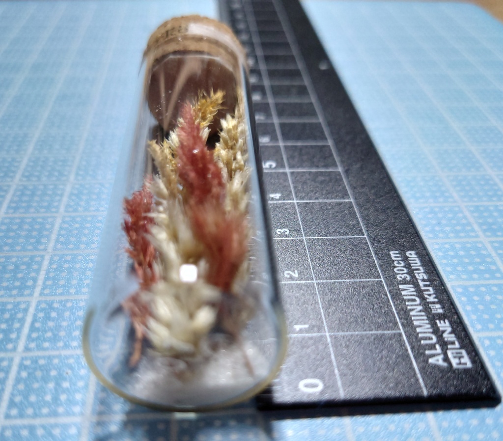 花の標本/D2_007