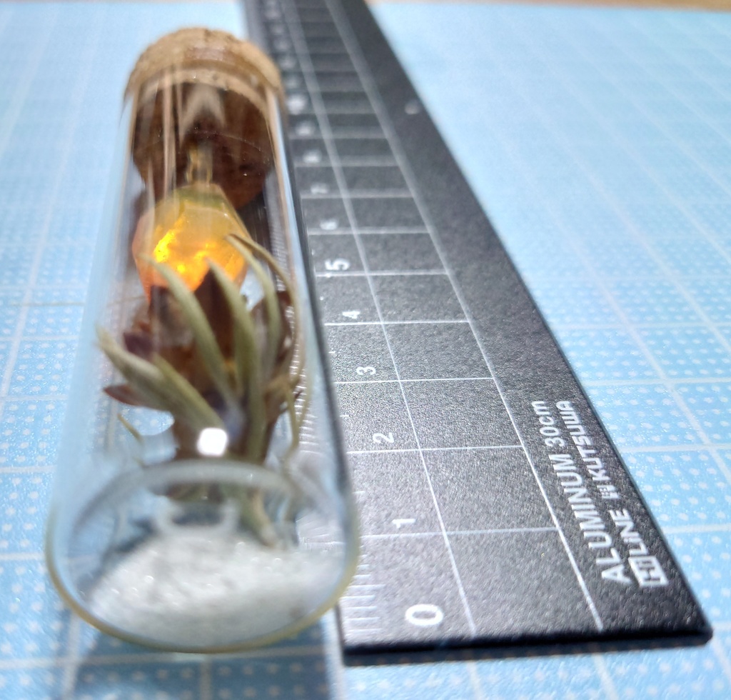 花と鉱石の標本/DR2_003