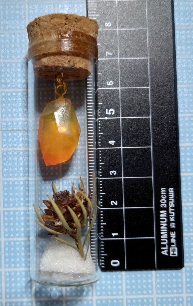 花と鉱石の標本/DR2_003