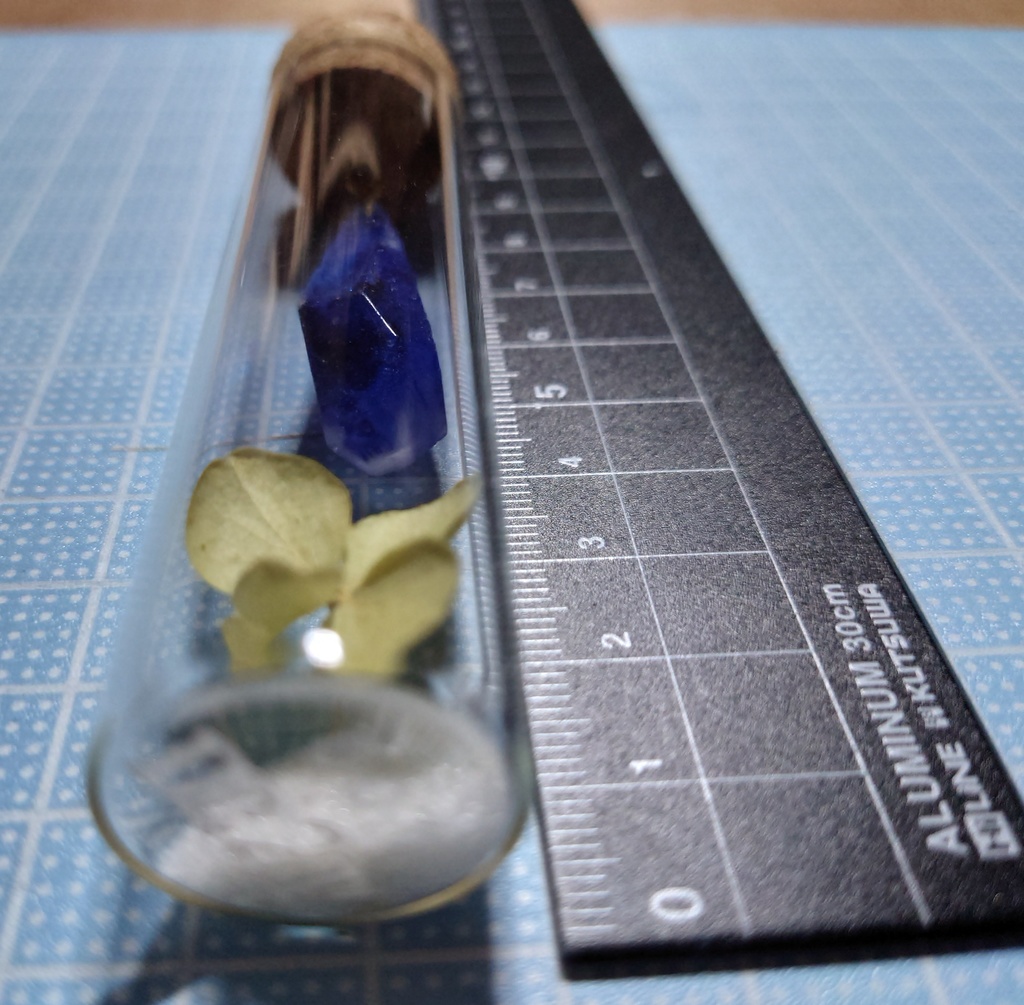 花と鉱石の標本/DR2T_001