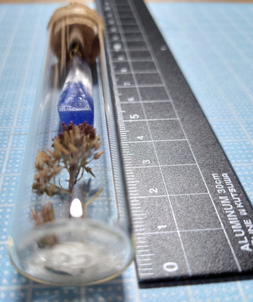 花と鉱石の標本/DR2T_002