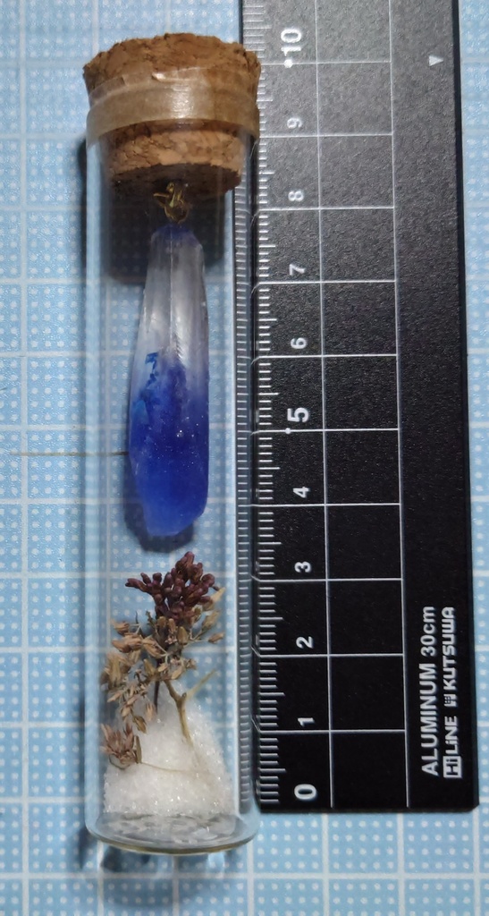 花と鉱石の標本/DR2T_002