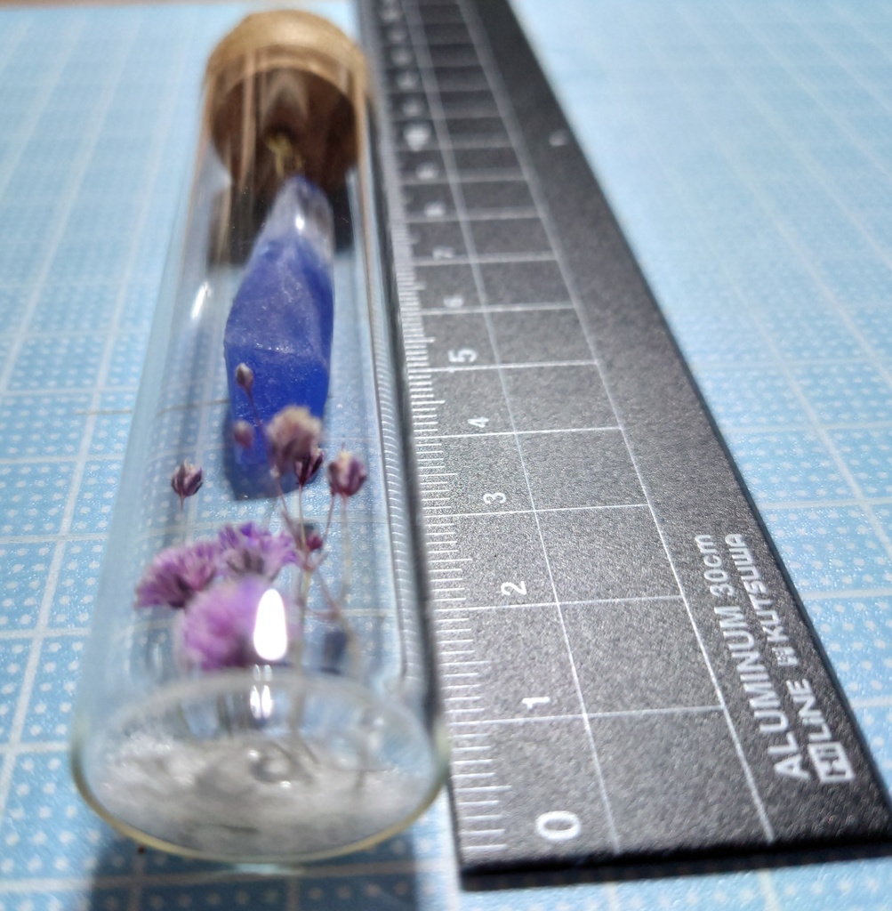 花と鉱石の標本/DR2T_003