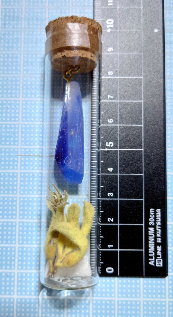 花と鉱石の標本/DR2T_004