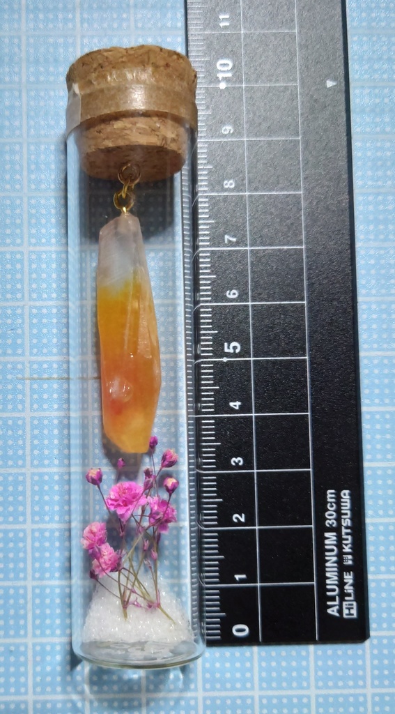 花と鉱石の標本/DR2T_005