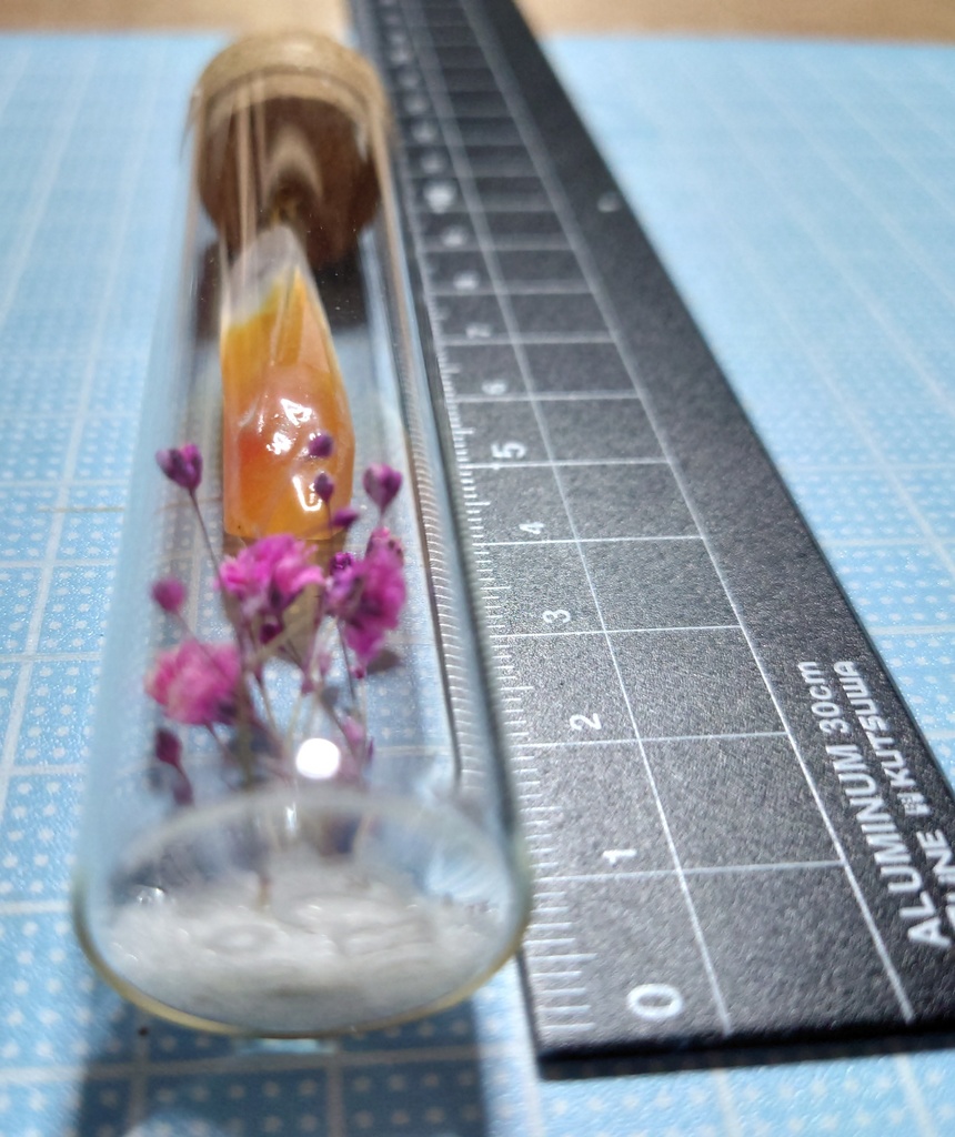 花と鉱石の標本/DR2T_005