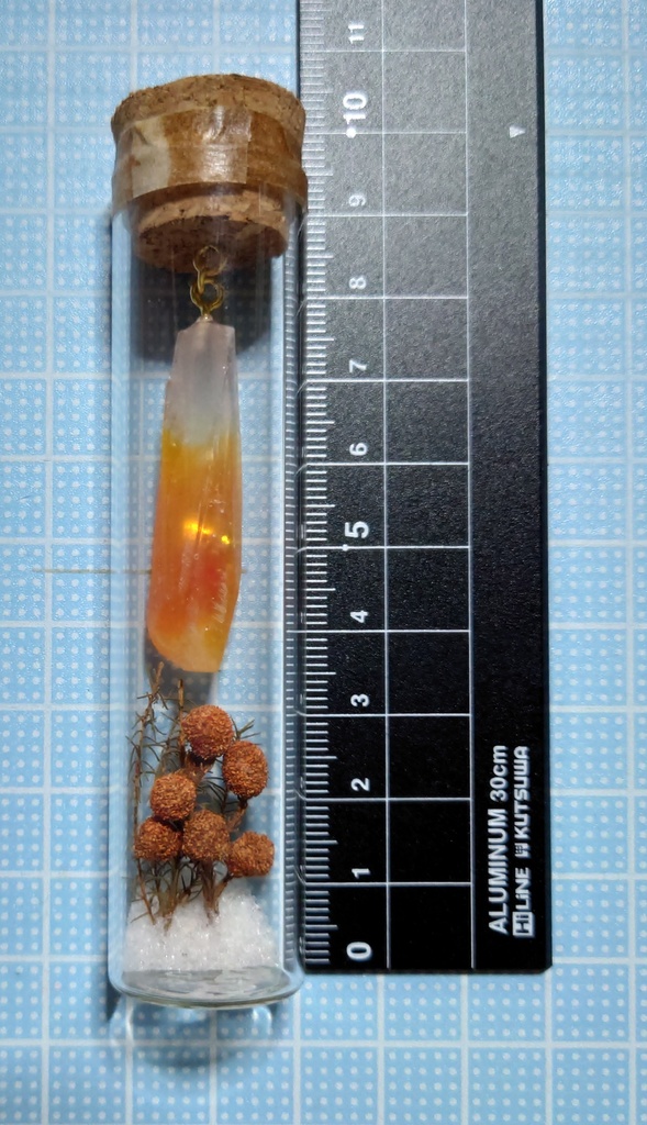 花と鉱石の標本/DR2T_006