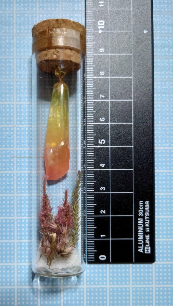 花と鉱石の標本/DR2T_007