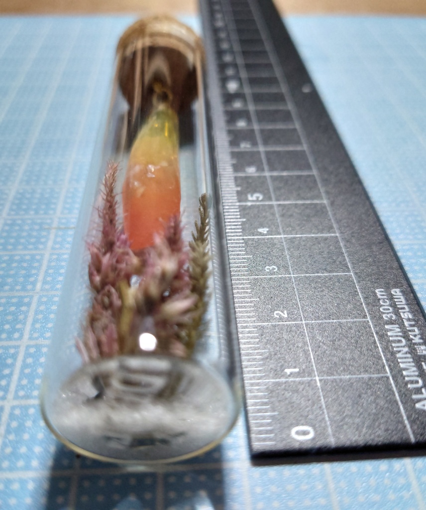 花と鉱石の標本/DR2T_007