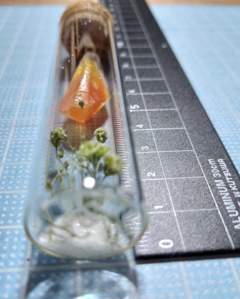 花と鉱石の標本/DR2T_008