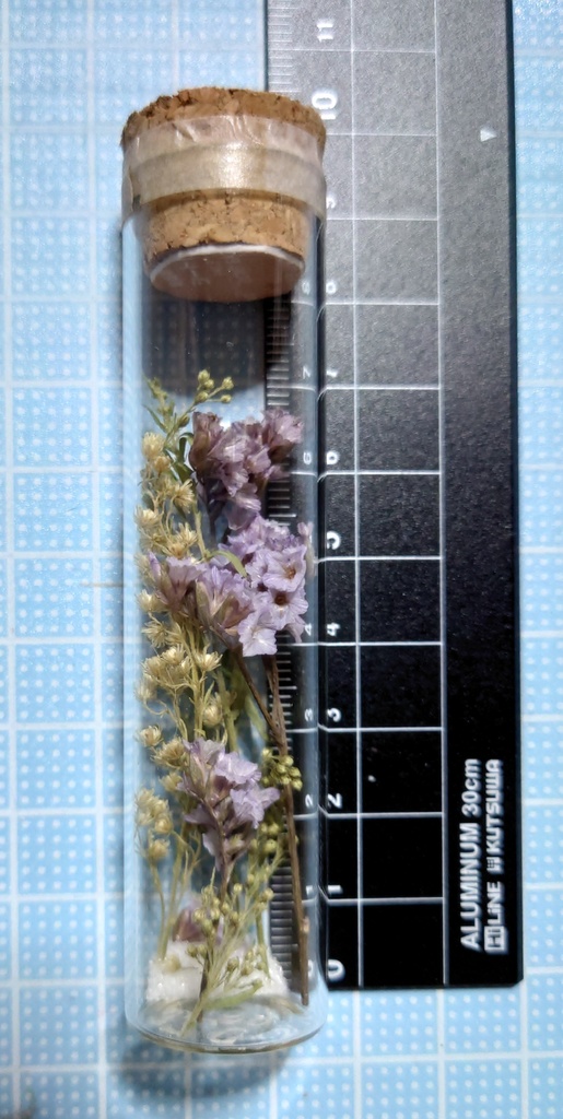 花の標本/D2T_004