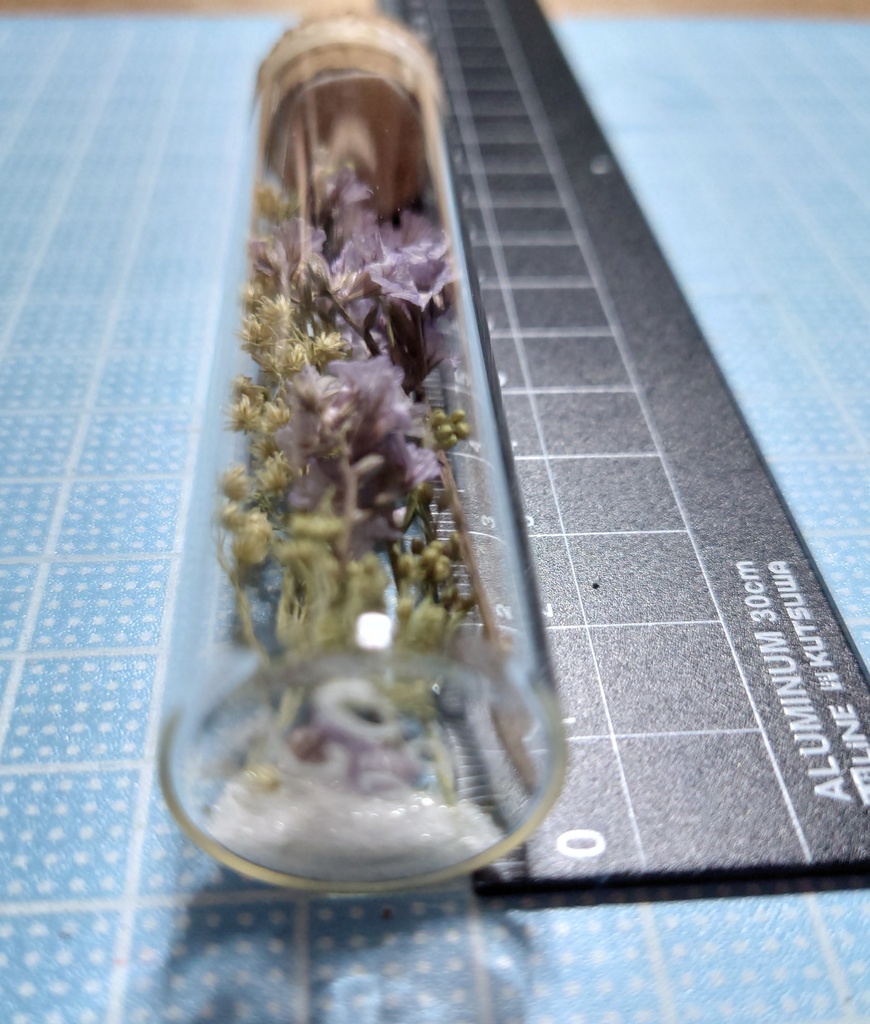 花の標本/D2T_004