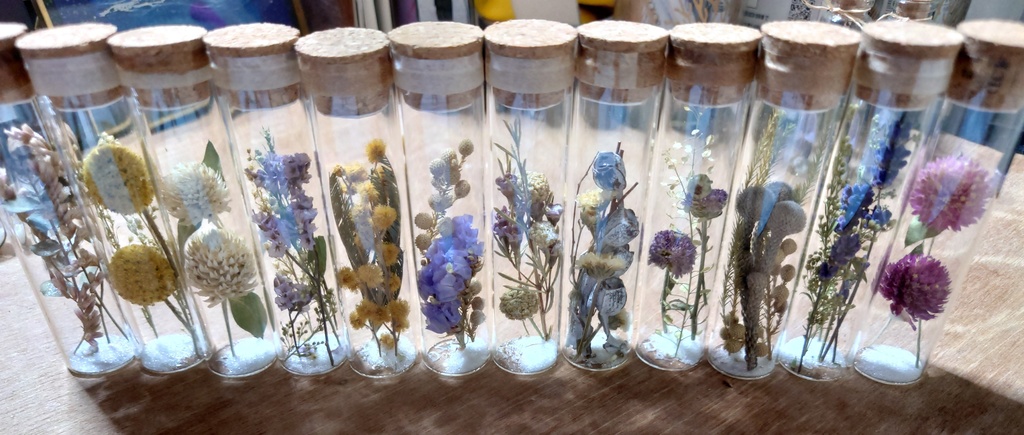 花の標本/D2T_005