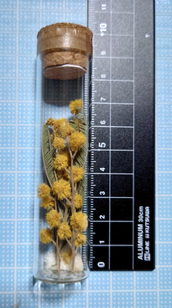 花の標本/D2T_005