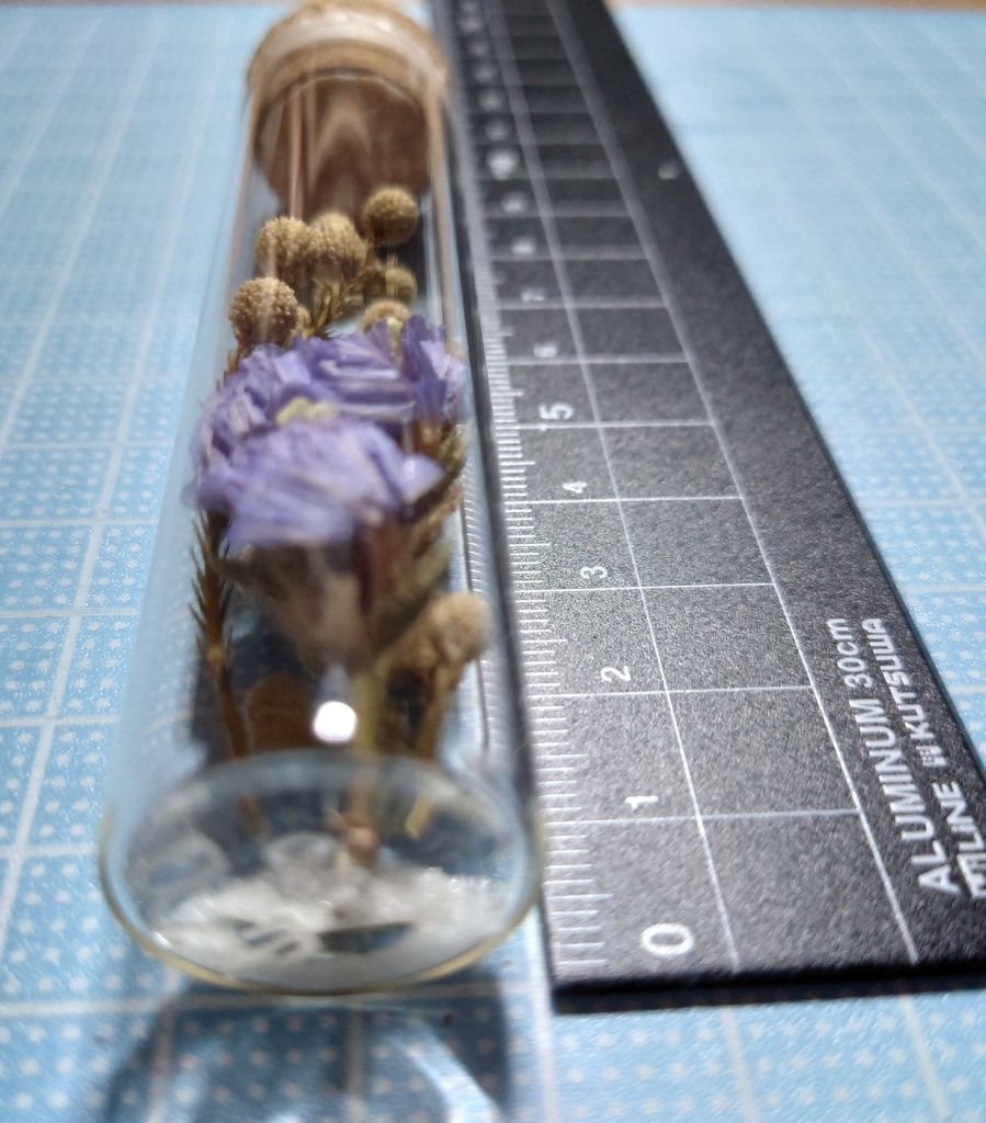 花の標本/D2T_006