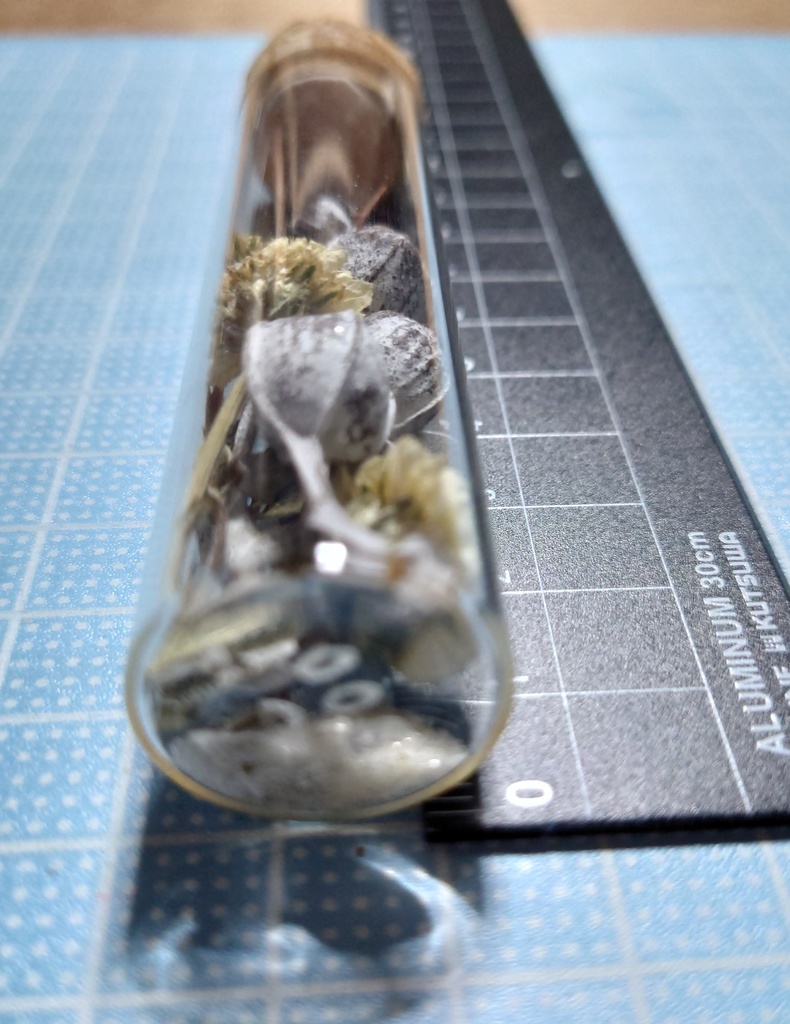 花の標本/D2T_008