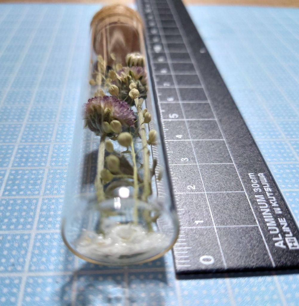 花の標本/D2T_009