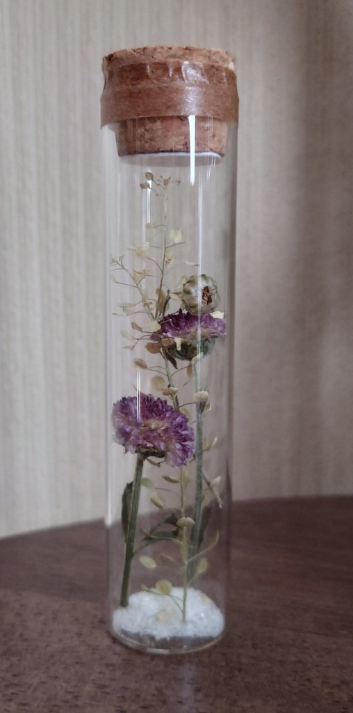 花の標本/D2T_009