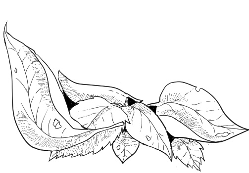 【無料/投げ銭】落ち葉の枠と駒置き場