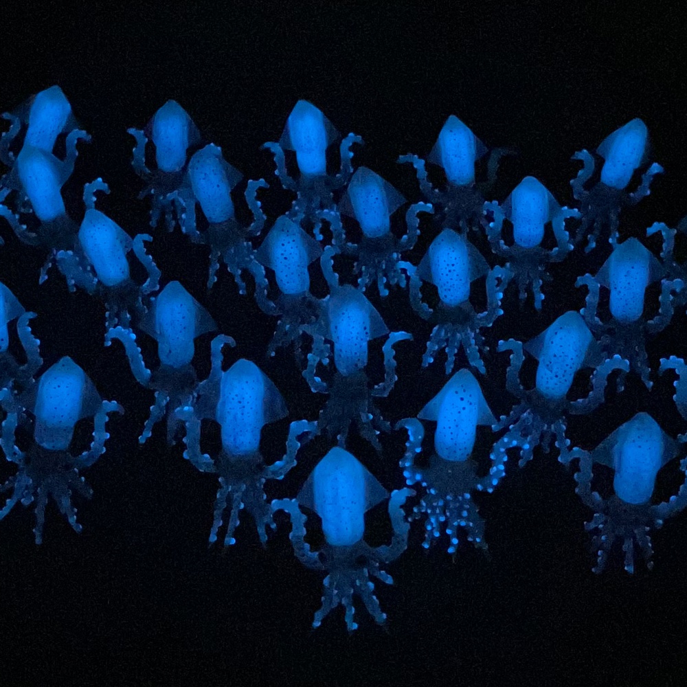 ホタルイカ(蓄光塗料入り)のイヤーアクセサリー