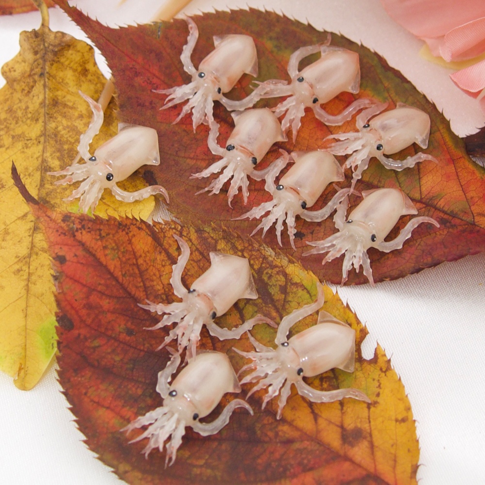 煌めく透明感!! スルメイカのイヤーアクセサリー