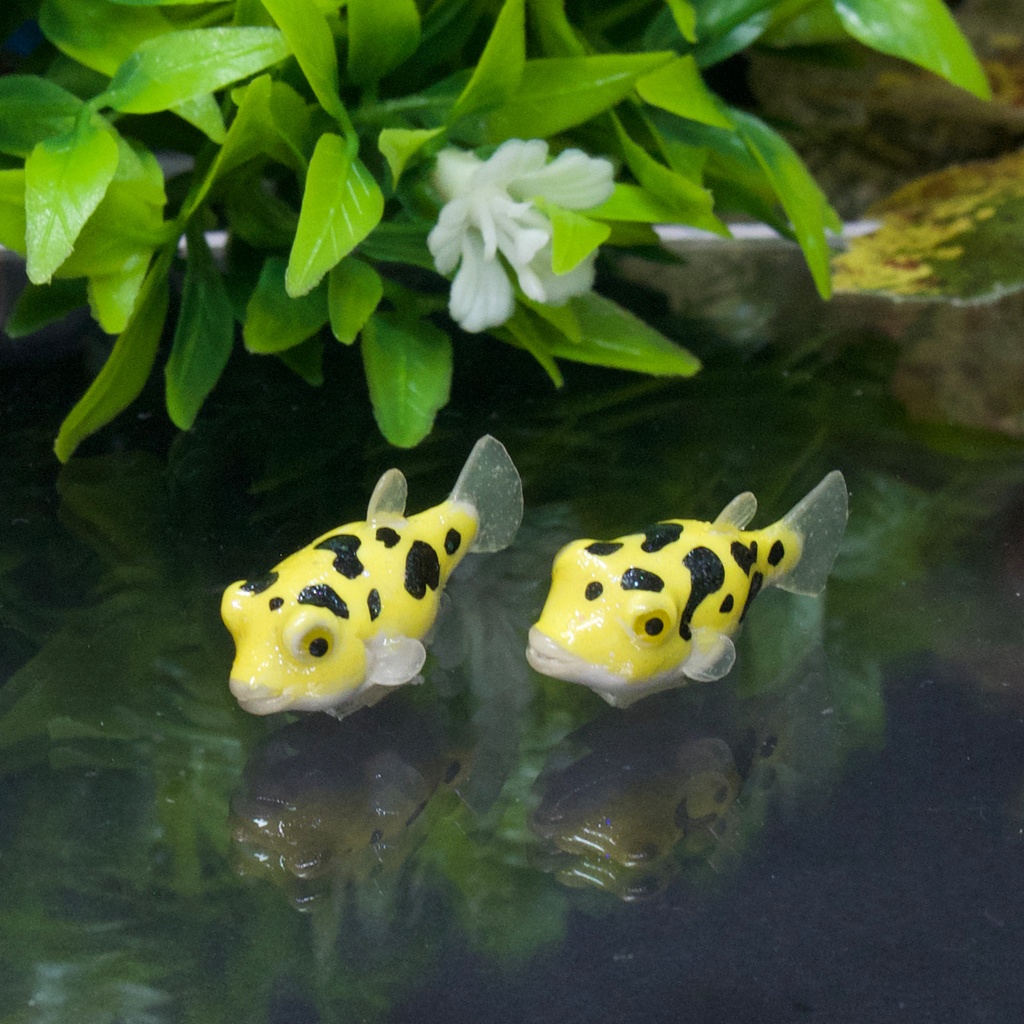 アベニーパファーのピアス・イヤリング