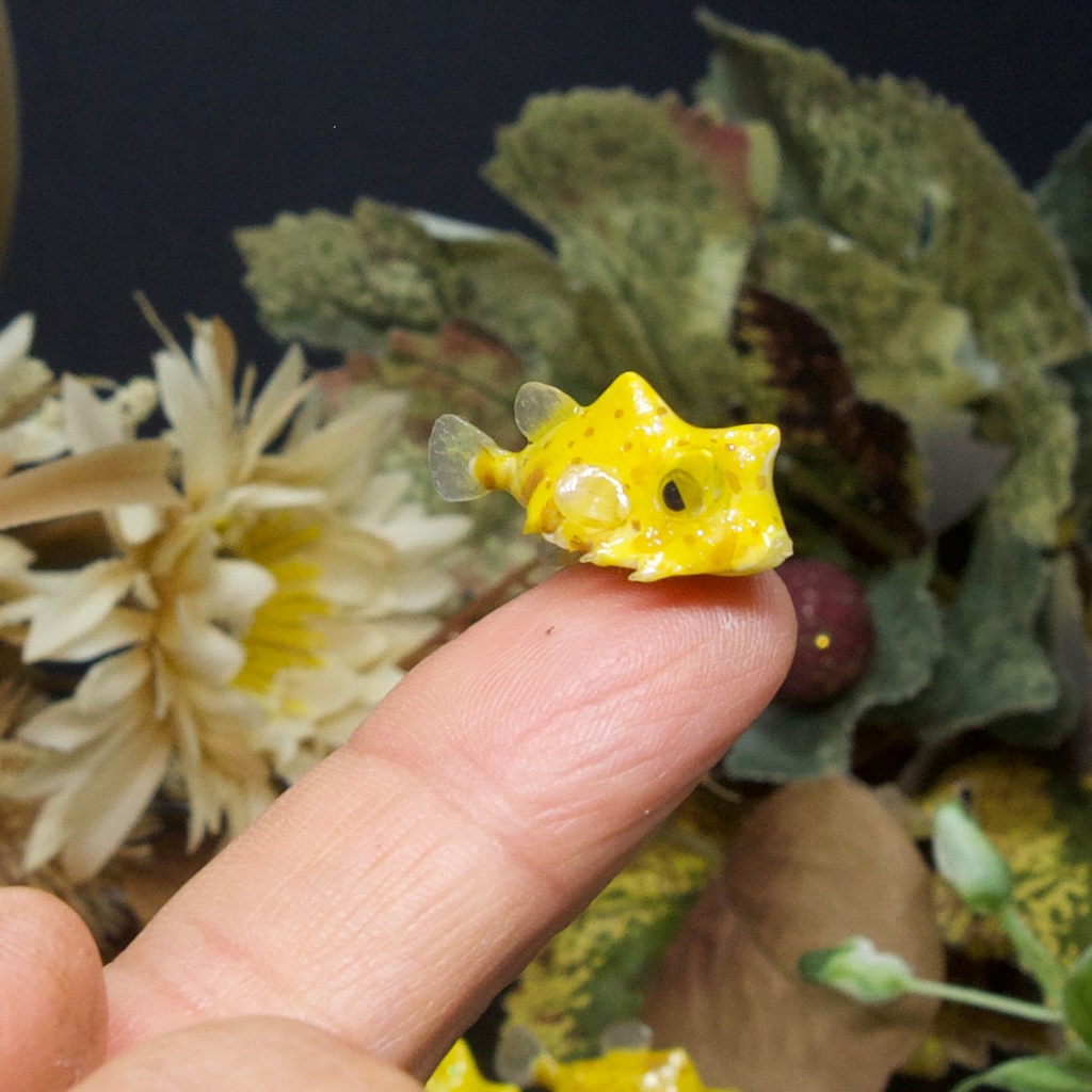 ラクダハコフグのゆらめくピアス・イヤリング