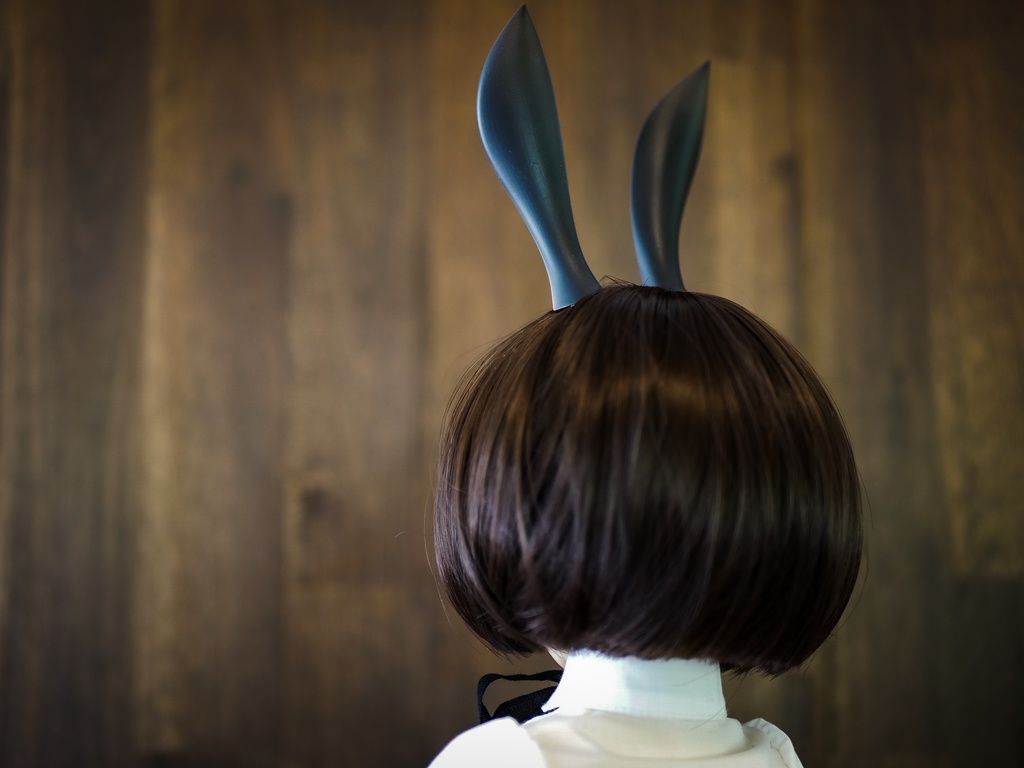 【終了】ウサギ耳(黒毛)