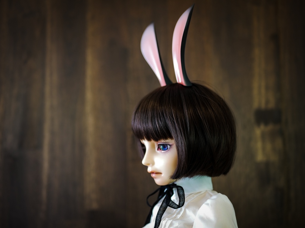 【終了】ウサギ耳(黒毛)