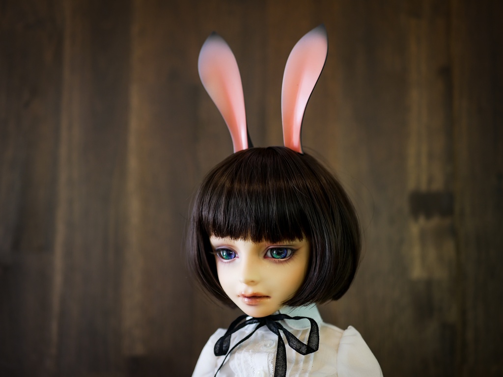 【終了】ウサギ耳(黒毛)