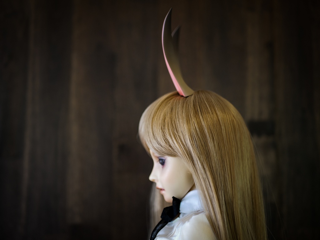 【終了】ウサギ耳 (茶毛)