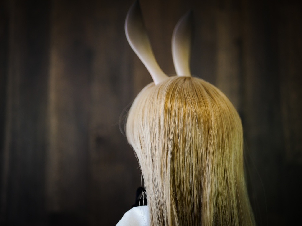 【終了】ウサギ耳 (茶毛)