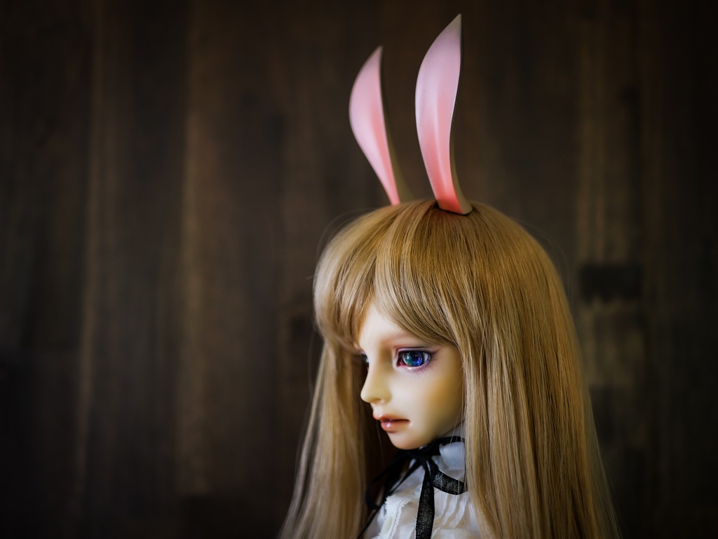 【終了】ウサギ耳 (茶毛)