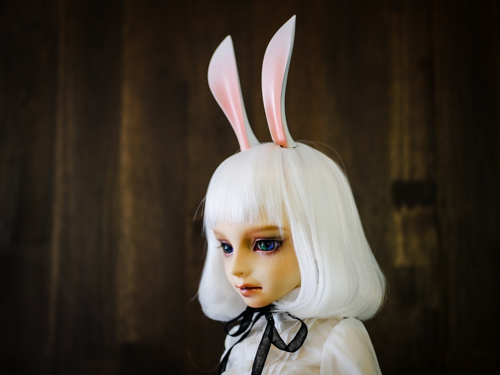 【終了】ウサギ耳 (白毛)