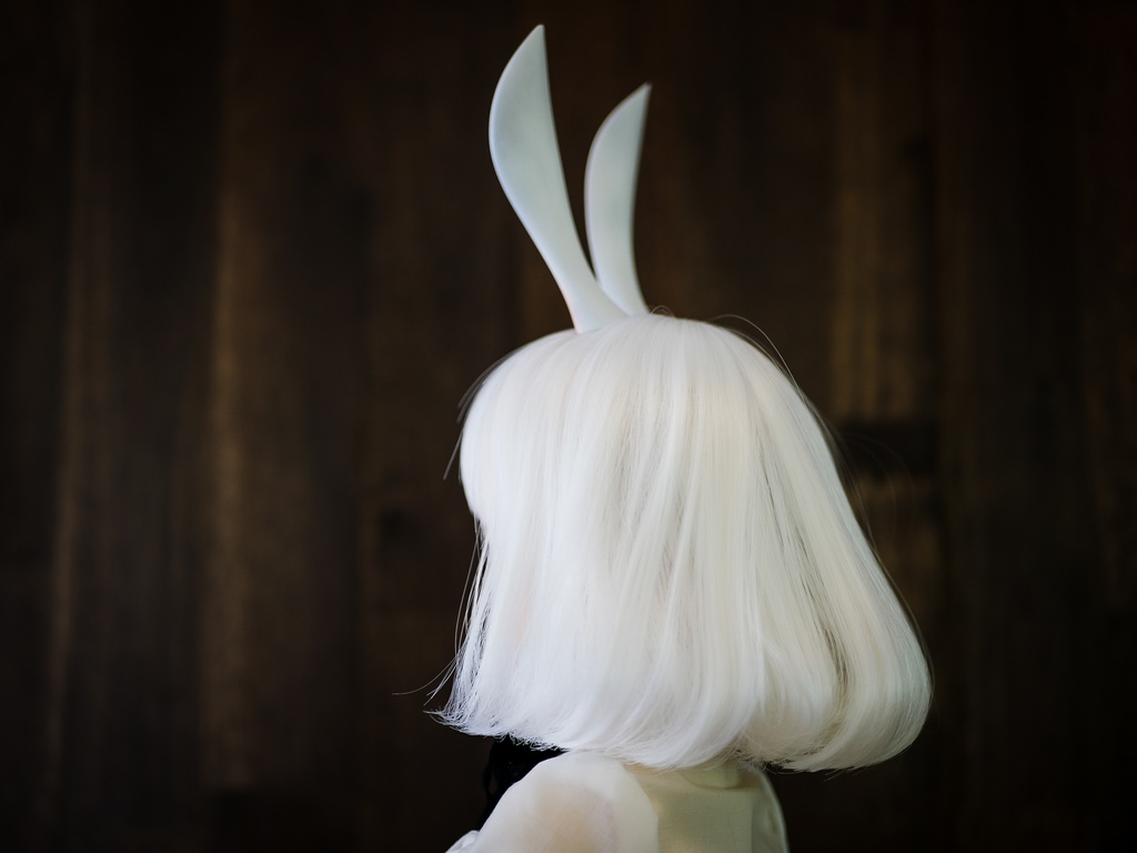 【終了】ウサギ耳 (白毛)