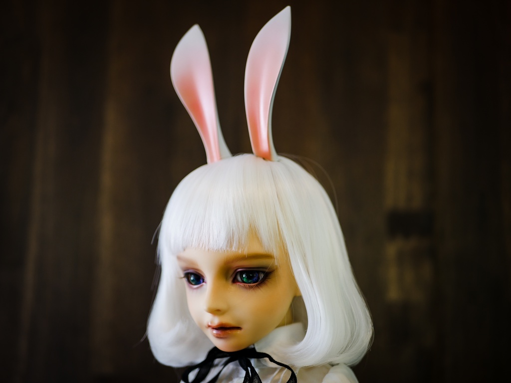 【終了】ウサギ耳 (白毛)