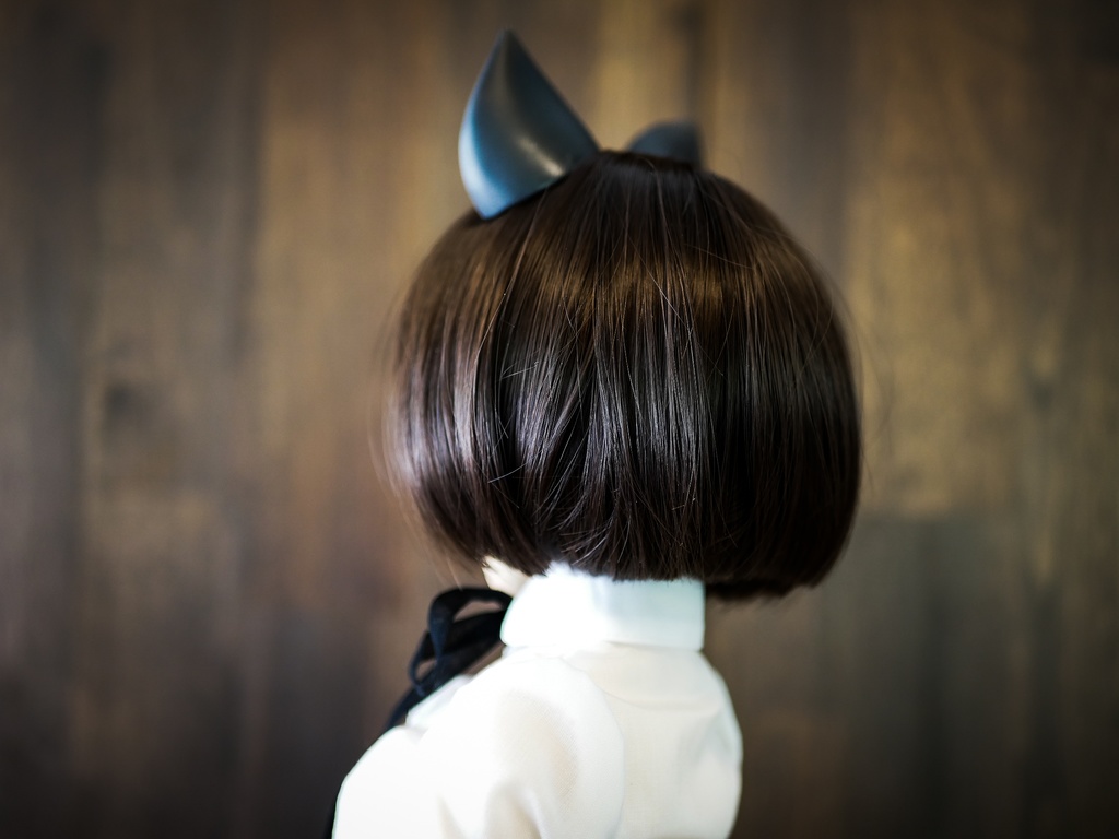 【終了】猫耳 (黒毛)