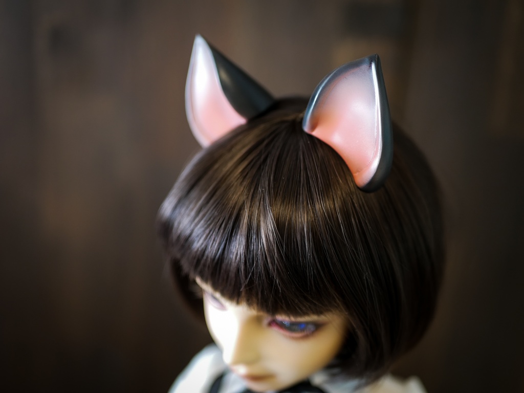 【終了】猫耳 （黒毛）