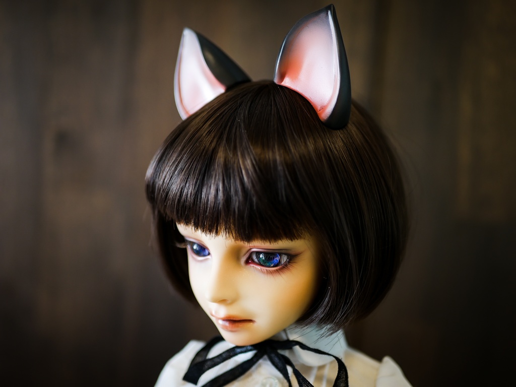 【終了】猫耳 (黒毛)