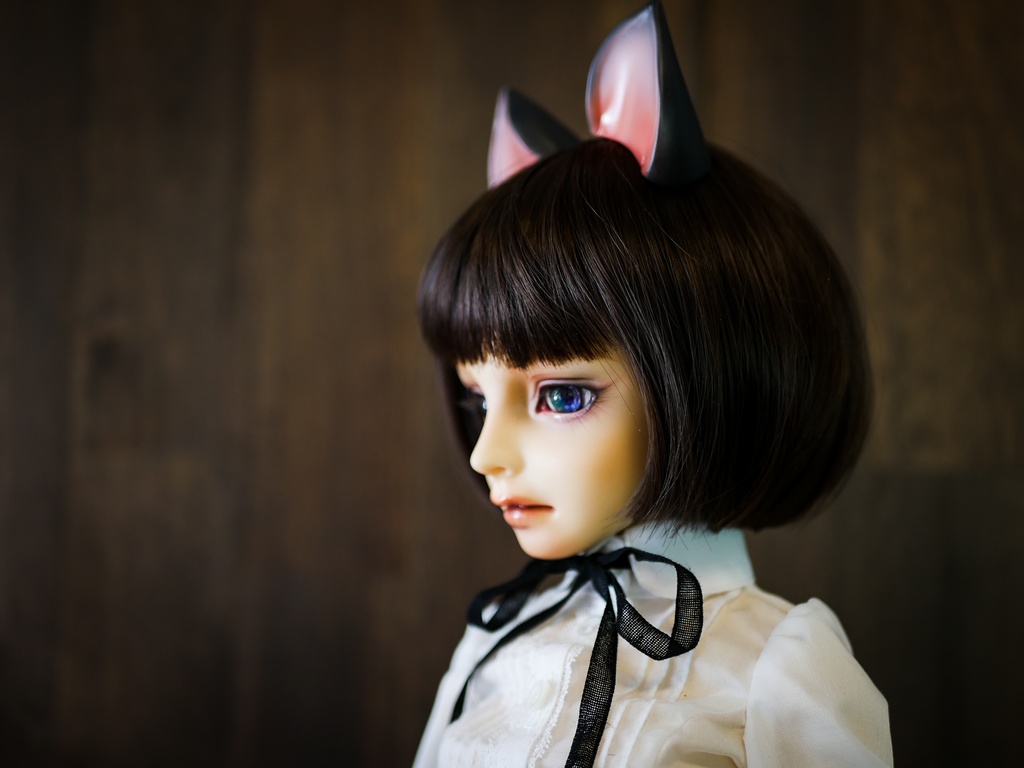 【終了】猫耳 (黒毛)