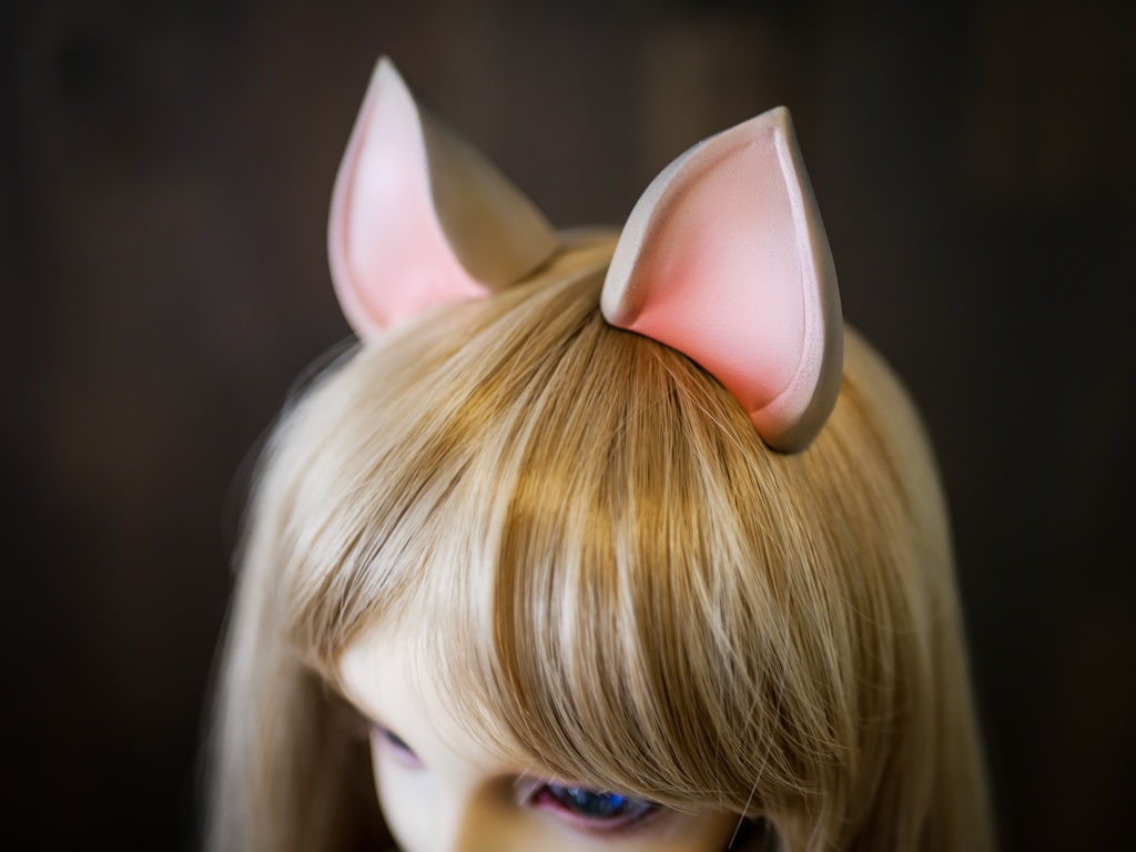 【終了】猫耳 (茶毛)