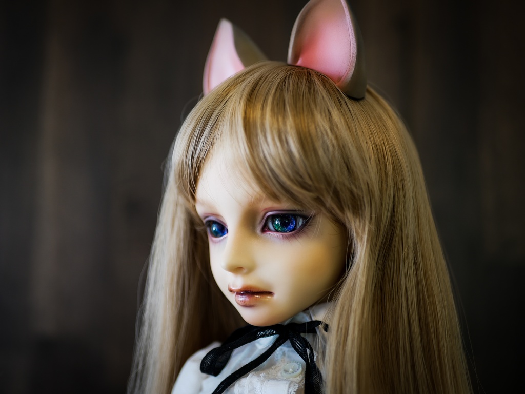 【終了】猫耳 (茶毛)