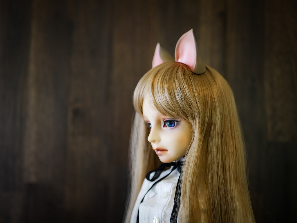 【終了】猫耳 (茶毛)