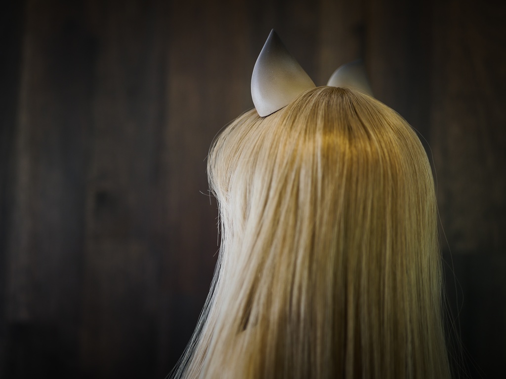 【終了】猫耳 (茶毛)