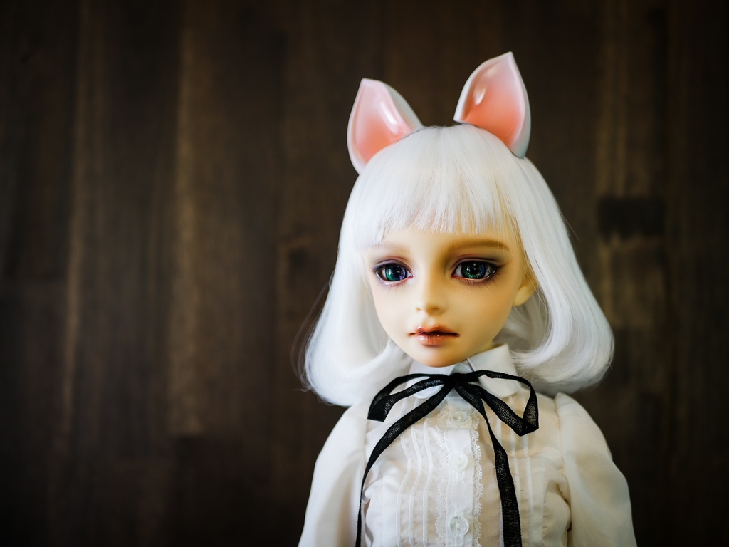 【終了】猫耳 (白毛)