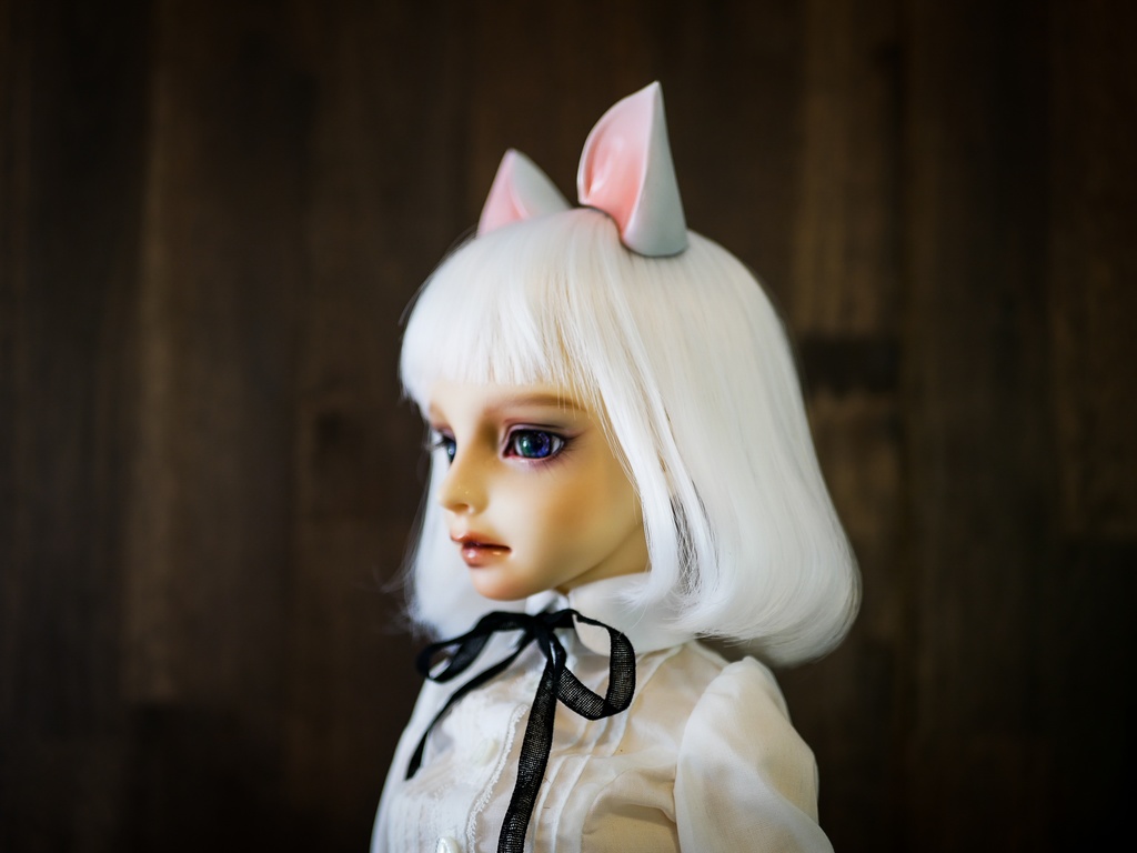 【終了】猫耳 (白毛)