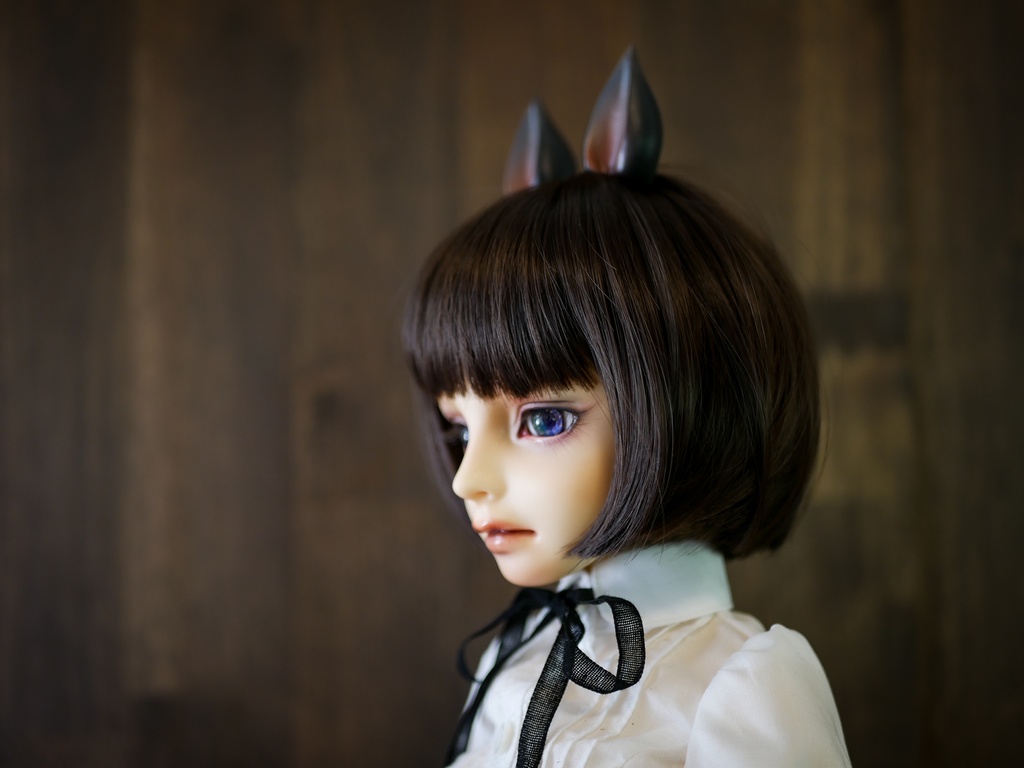 【終了】馬耳 (黒毛)