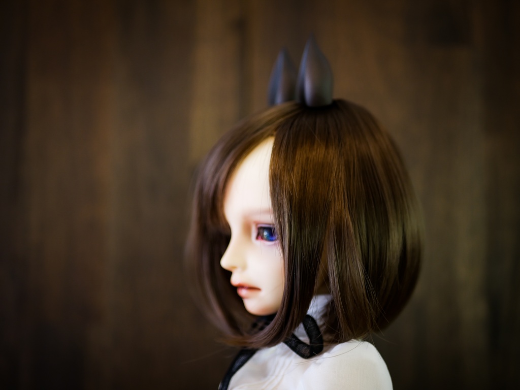 【終了】馬耳 (栗毛)