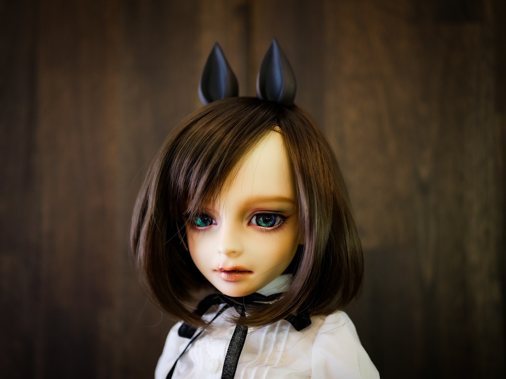 【終了】馬耳 (栗毛)